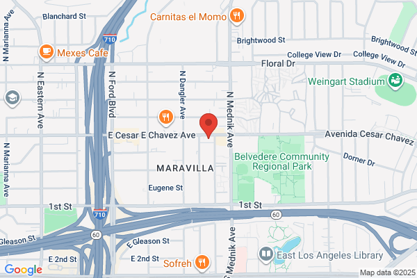 Boxing Academy of Los Angeles
