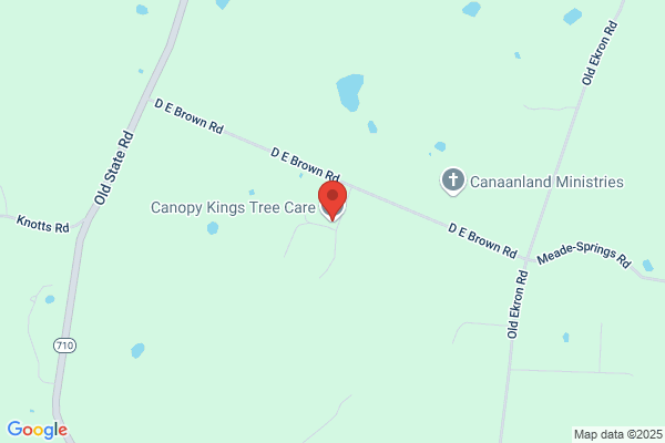 Kenny's Tree Service