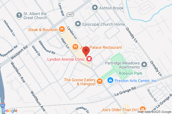 Dr. Black's Eye Associates