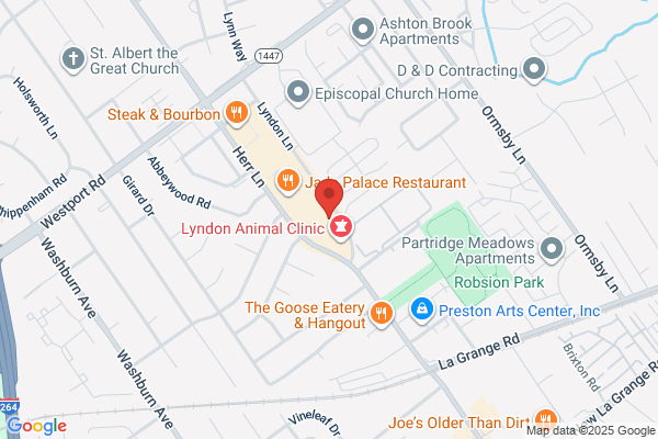 Dr. Black's Eye Associates