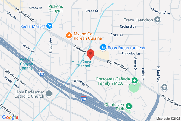Deter David H DDS