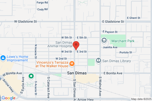 Dnj Mortgage