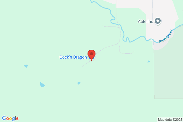 Cockn Dragon