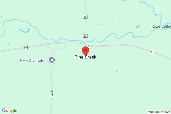 Pine Creek Auto Inc