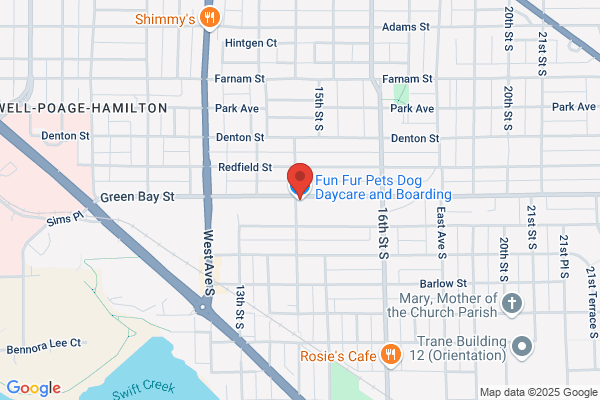 Family Dog Center