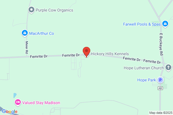 Hickory Hill Boarding Kennel