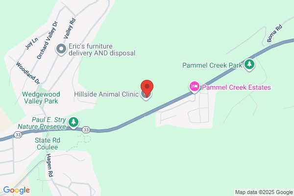 Hillside Animal Hospital SC