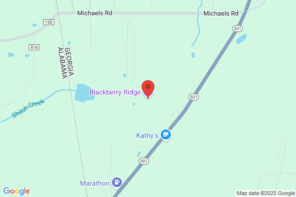 Blackberry Ridge Development