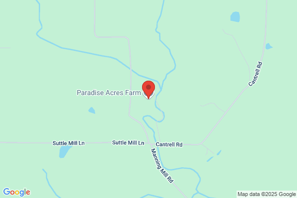 Paradise Cattle