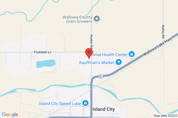 Bronson Lumber Co