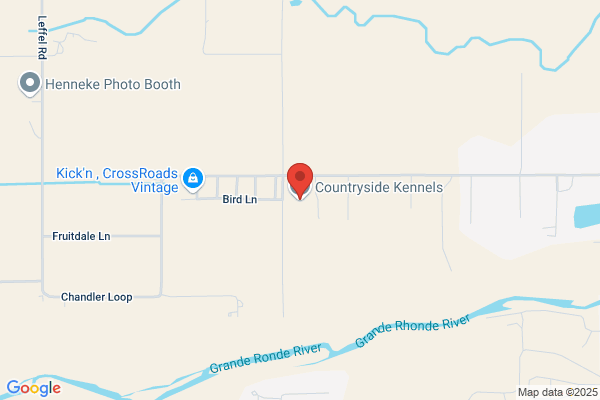 Countryside Kennels