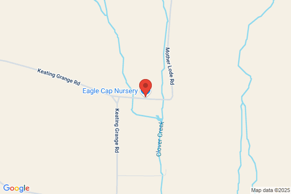 Eagle Cap Nursery
