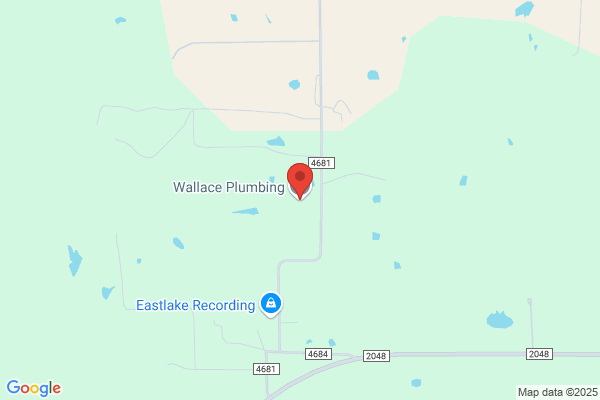 Wallace Plumbing