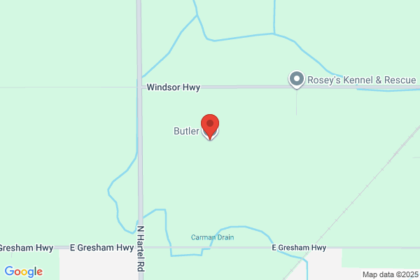 Butler Heating and Air