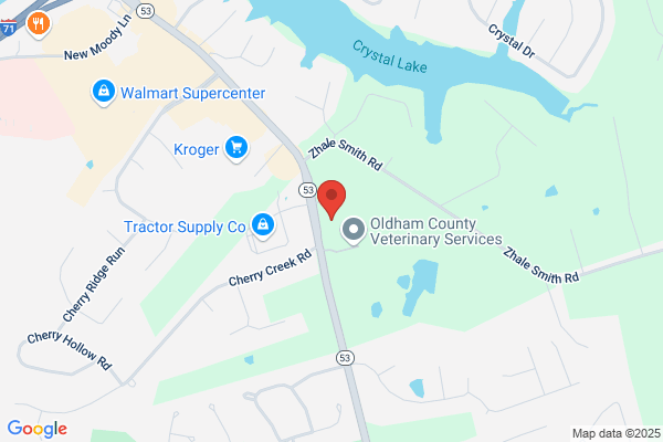 Engilman Orthodontics