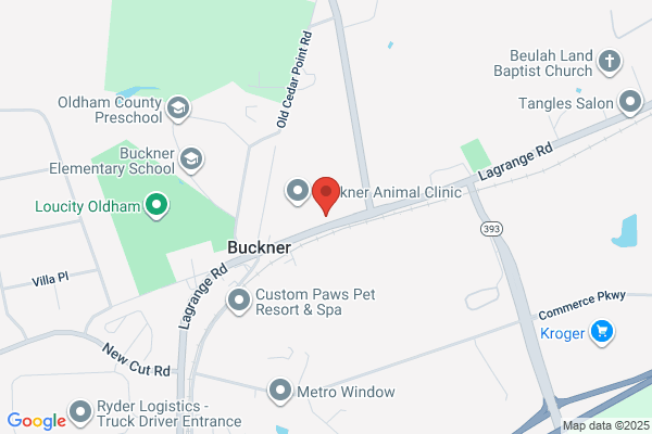 Buckner Barber Shop