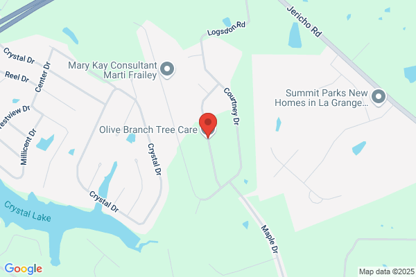 Olive Branch Tree Care