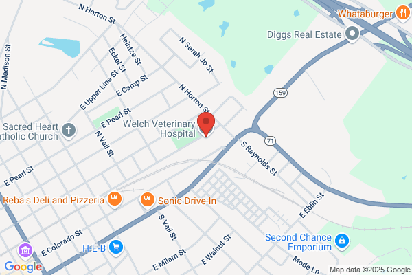 Daniel L Welch Veterinary Hospital