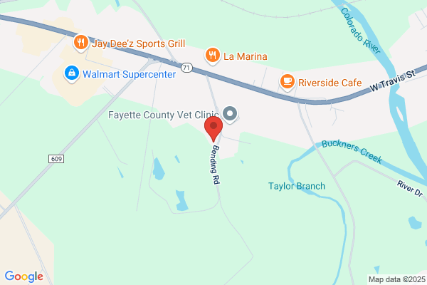 Fayette County Animal Shelter