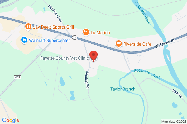 Fayette County Veterinary Clinic Inc