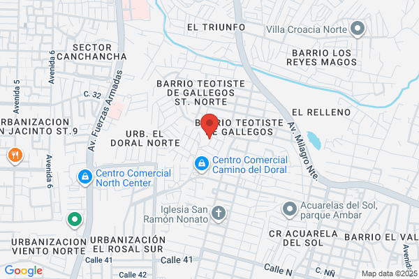 Villa Camino Real