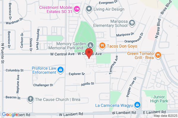 Wheatley Joseph DDS