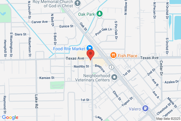 Church's Texas Chicken