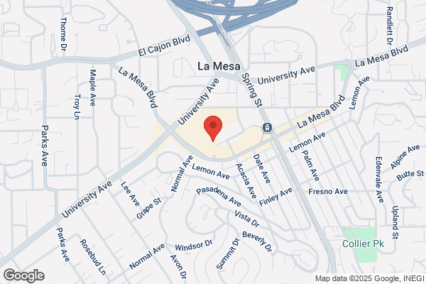 American Home Network Inc
