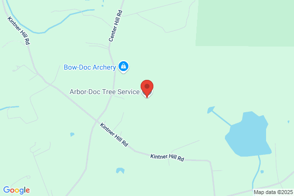 Dr Arbor Tree Surgeons