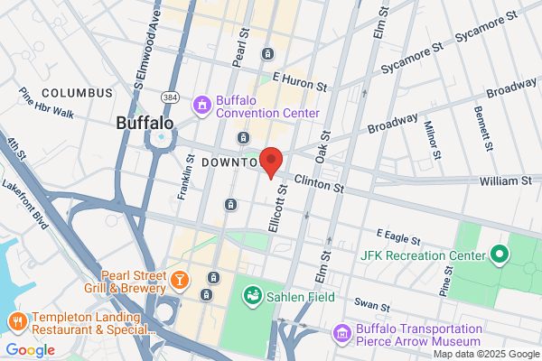 Flying Buffalo Drones