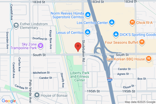 Lew Dina DDS MD