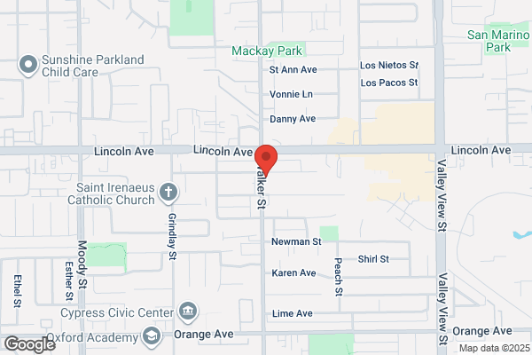 Pura Mayor-Chico, Dmd, Inc