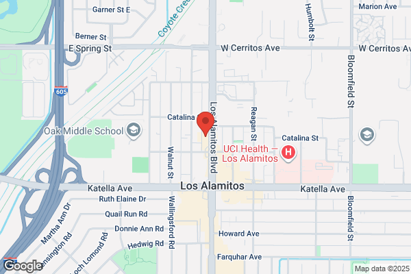 Tony Ayoub, Realtor RE/MAX