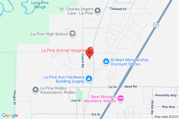 Lapine Realty