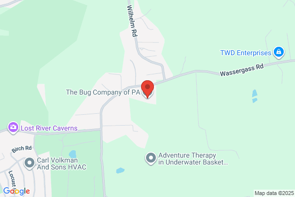 The Bug Company