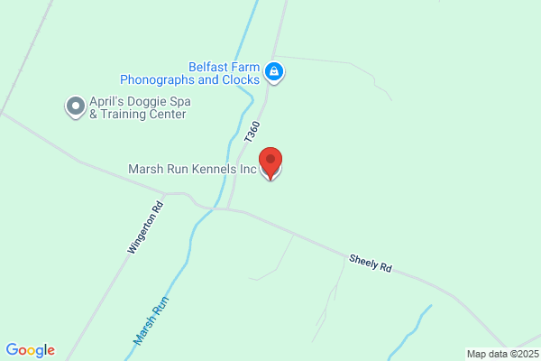 Marshbrook Boarding Kennels
