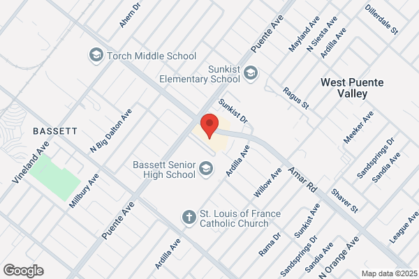 Central Locksmith Store