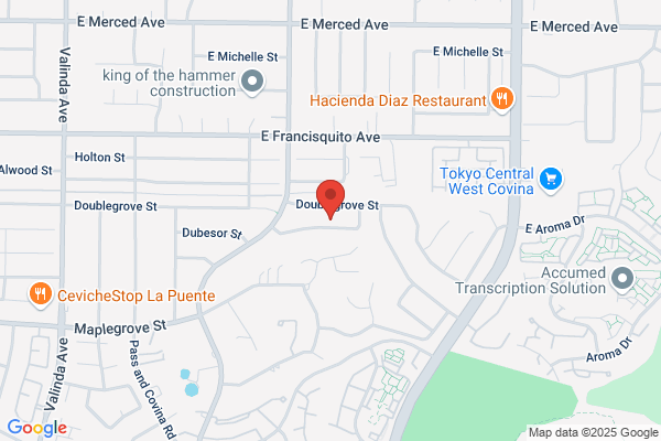 Novoa Tree Service