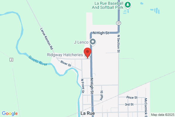 Ridgway Hatcheries Inc the