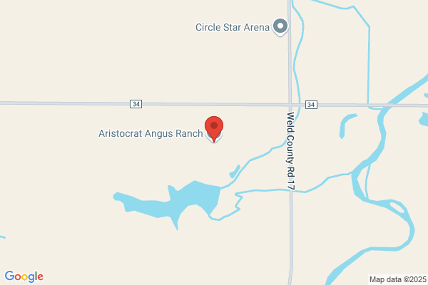 Aristocrat Angus Ranch