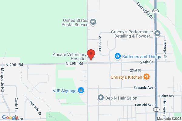 AnCare Veterinary Hospital & Boarding Suites