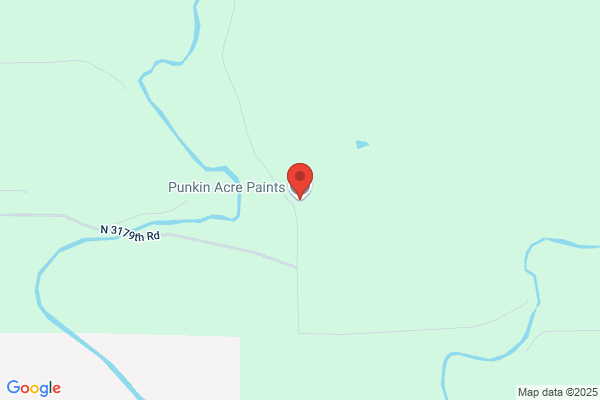 Punken Acre Paints