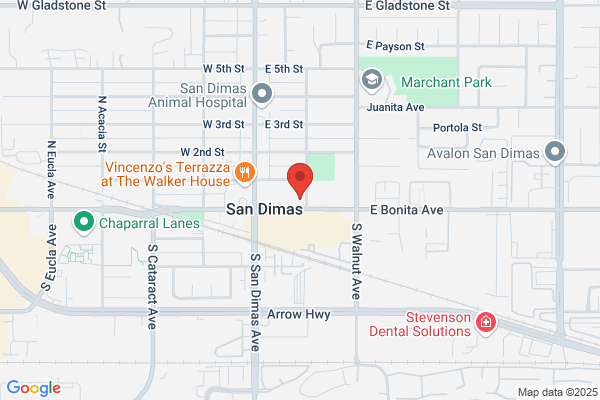 Downey Savings & Loan