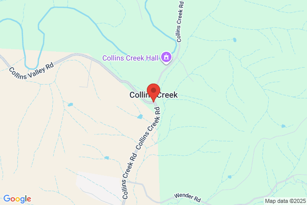 Collins Creek Detox
