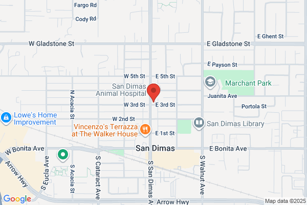 Dnj Mortgage Company