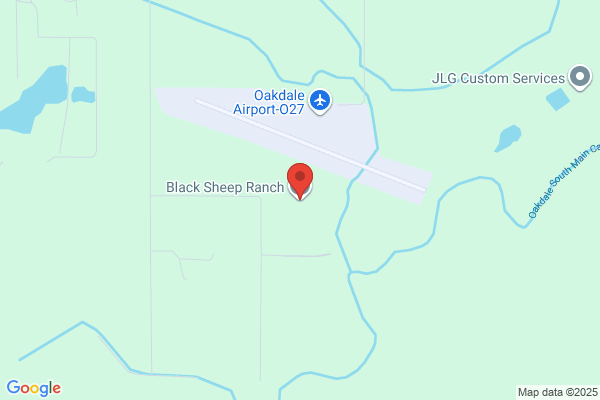 Black Sheep Ranch Services