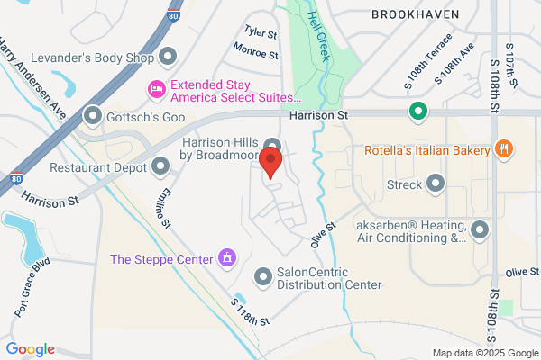 American Billing Services Inc