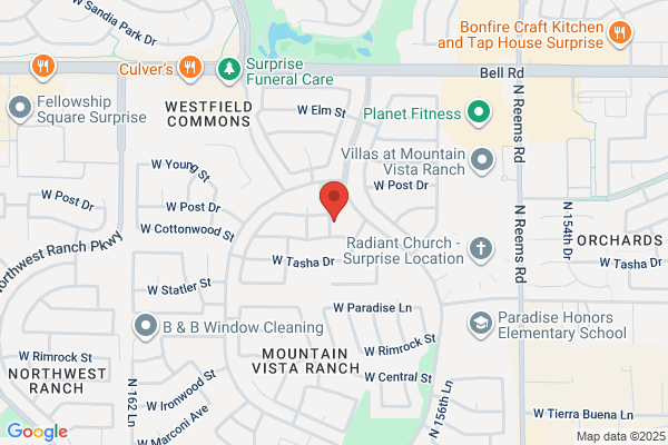 All Organic Carpet Cleaning