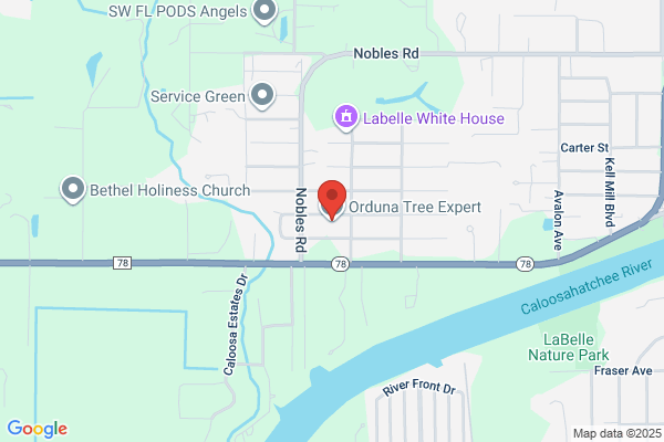 Orduna Tree Expert