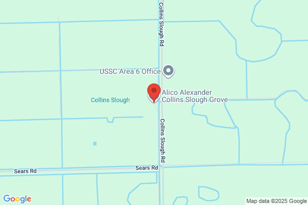 Alico Sugar Cane & Sod
